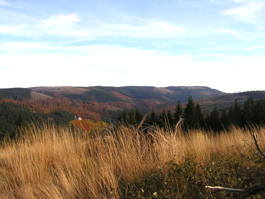 Am Horizont der Treiskopf -781 m- und Hohe Eimberg -806 m- (re.)